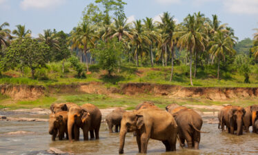 Kerala