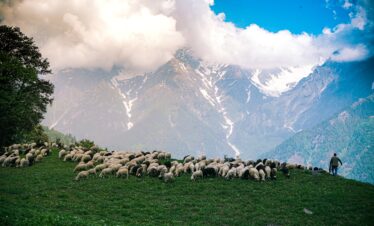 SHIMLA MANALI 5 NIGHTS 6 DAYS
