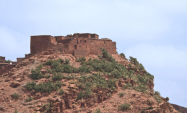 Forts & Wildlife
